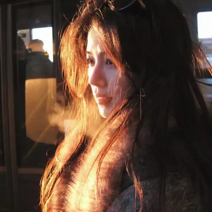 几度菊花香