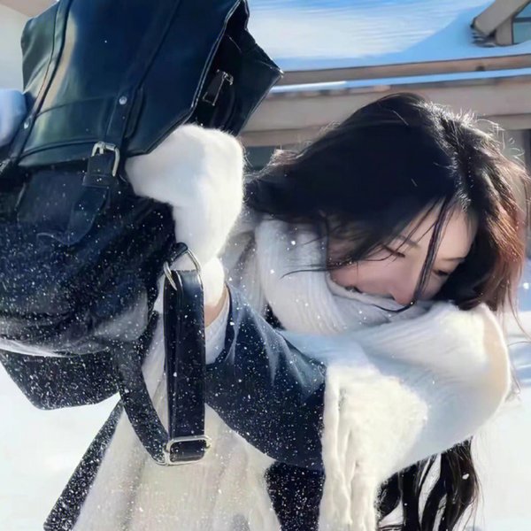 中国人的流浪记